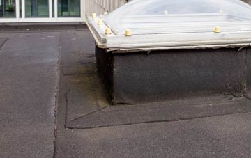 disadvantages of Lydiard Green flat roofs