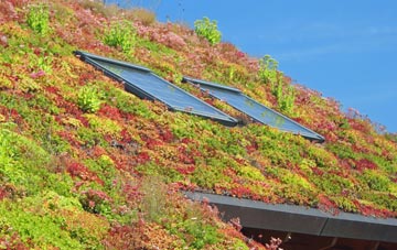 Lydiard Green living roof systems